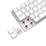 Teclado Mecânico T-Dagger Arena Rainbow Branco 60% Switch Marrom USB-C - T-TGK321W-BR - Imagem 6